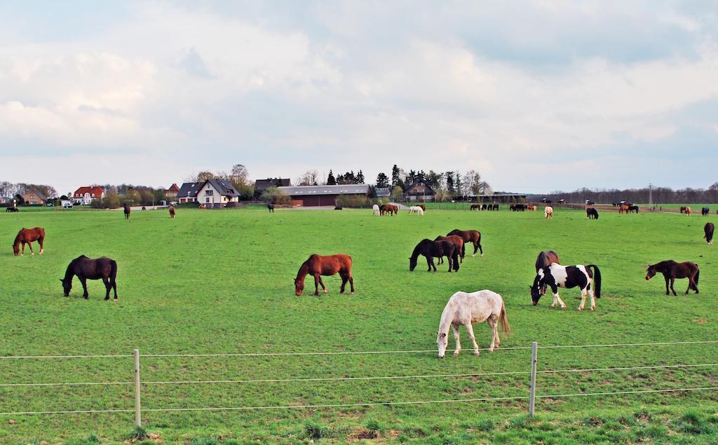 Ferienwohnung Bergblick ซานเทน ภายนอก รูปภาพ